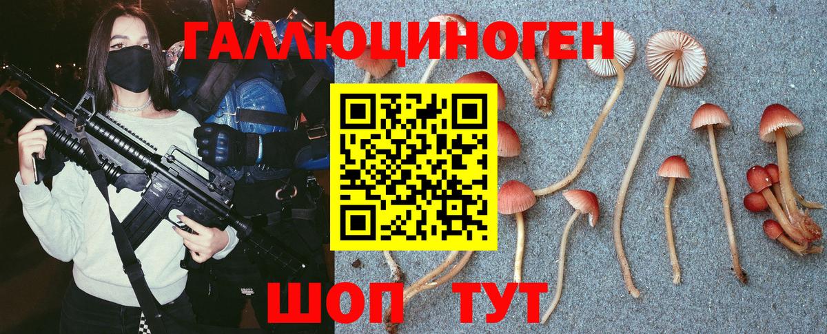 Великие Луки  Псилоцибиновые грибы мицелий  Вход с VPN 